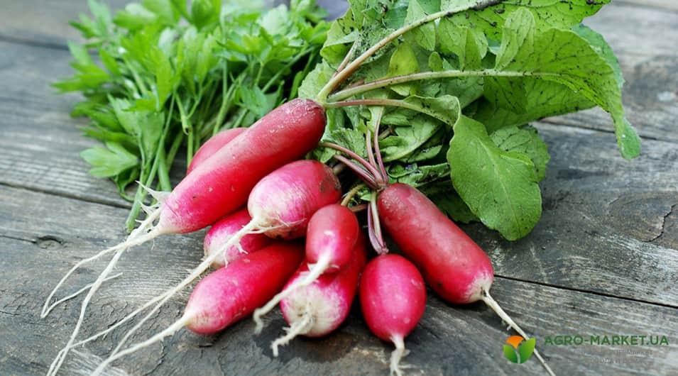 redis3-min.jpg redis3-min.jpg