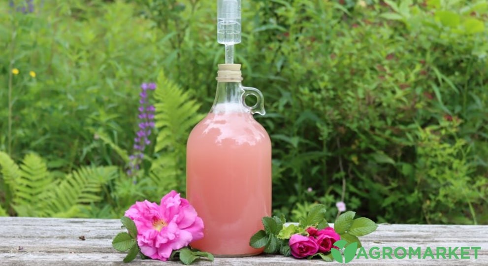 winerose2-min.jpg winerose2-min.jpg