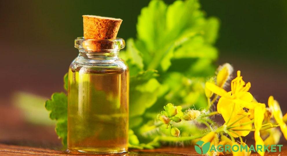 Чистотел полезные свойства - Agro-Market
