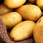 Насіннєвий среднеранний картопля "Електра" (на жарку, 1 репродукція) 1кг