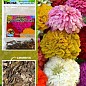 Цинния "Калифорнийские гиганты" (Зипер) ТМ "Весна" 2г