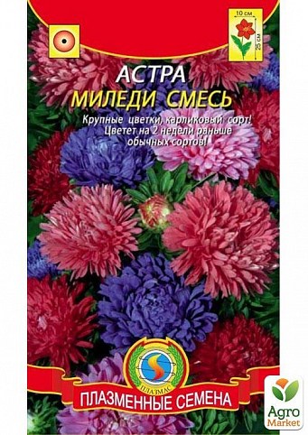 Астра "Миледи" смесь ТМ "Плазменные семена"0,2г