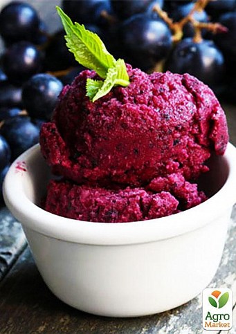 Эксклюзив! Виноград темно-синий "Черное море" (Black Sea) (премиальный высокоурожайный винный сорт) - фото 2