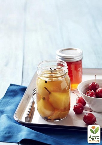 Груша "Бере Київська" (зимовий сорт, пізній термін дозрівання) - фото 3