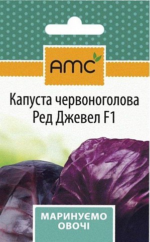 Капуста краснокочанная "Ред Джевел F1" ТМ "АМС" 20шт