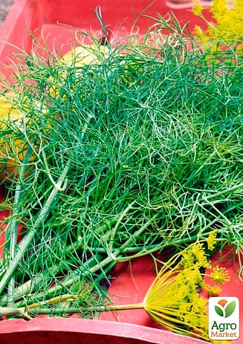 На развес Укроп "Деликатесный" ТМ "Весна" цена за 20г - фото 2