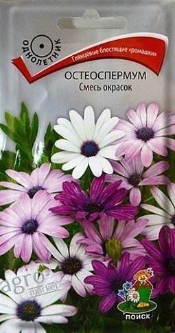 Остеоспермум "Суміш забарвлень" ТМ "Пошук" 0.1г