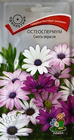 Остеоспермум "Смесь окрасок" ТМ "Поиск" 0.1г