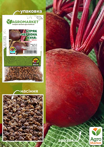 Свекла "Красный шар" (Зипер) ТМ "Весна" 6г