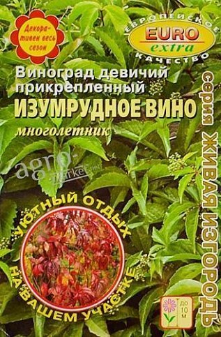 Виноград дівочий "Смарагдове вино" ТМ "Аеліта" 6шт