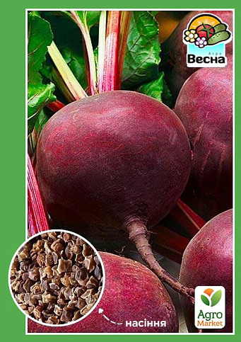 Свекла "Винегретная" (Новый пакет) ТМ "Весна" 2г
