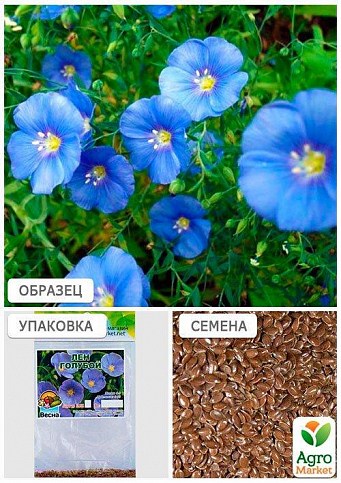 Лен голубой (Зипер) ТМ "Весна" 3г - фото 3