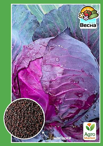 Капуста краснокочанная среднеспелая "Гранат" ТМ "Весна" 0.3г