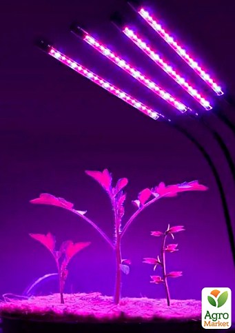 Фитосветильник для комнатных растений на 4 лампы, полный спектр с таймером и регулировкой яркости 80 LED ,1600 LM - фото 2