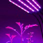 Фитосветильник для комнатных растений на 4 лампы, полный спектр с таймером и регулировкой яркости 80 LED ,1600 LM купить