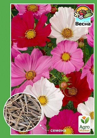 Космея "Двічіпериста" ТМ "Весна" 0.3г