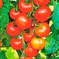 На развес Томат "Богата хата" ТМ "Весна" цена за 1г купить