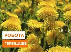 Температурний режим застосування гербіцидів - Agro-Market