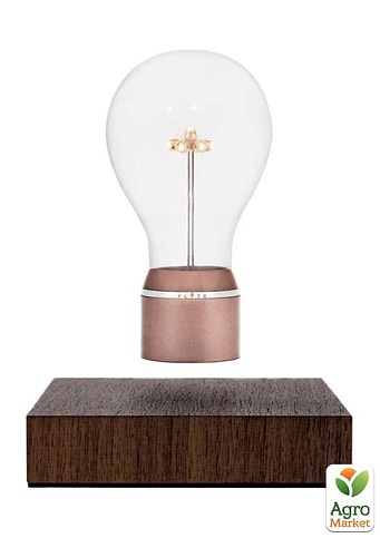 Лампа левитирующая Flyte Buckminster (01-BUC-MUL-V3-0)