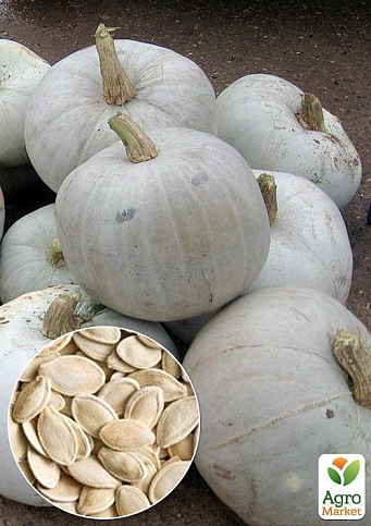 На развес Тыква "Огородное изобилие" ТМ "Весна" цена за 10г