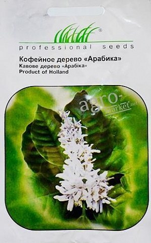 Кофейное дерево "Арабика" ТМ "HEM Zaden" 1г