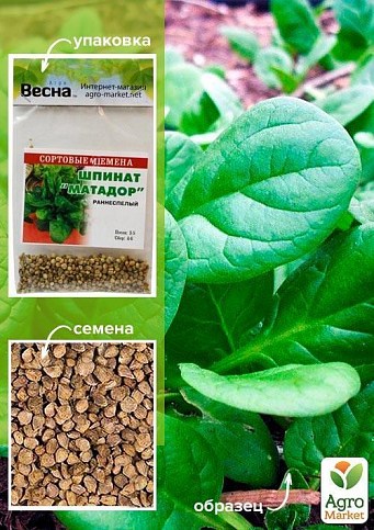 Шпинат "Матадор" (Зипер) ТМ "Весна" 5г