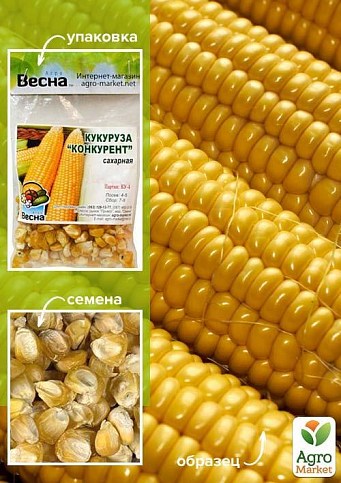 Кукурудза "Конкурент" (Зипер) ТМ "Весна" 20г