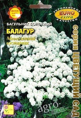 Багульник болотный "Балагур" ТМ "Аэлита" 0.0025г
