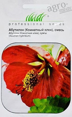 Абутілон "Кімнатний клен" суміш ТМ "HEM Zaden" 0.2г