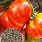 На развес Томат "Зебра оранжевая" ТМ "Весна" цена за 1г