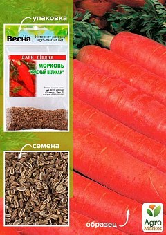 Морковь "Красный великан" (Зипер) ТМ "Весна" 5г1