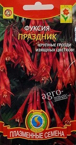 Фуксия "Праздник" ТМ "Плазмас" 5шт