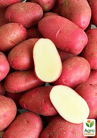 Картофель "Торнадо" семенной ультраранний (на варку, 1 репродукция) 10кг