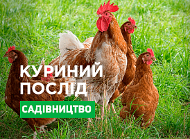 Курячий послід, як добриво - корисні статті про садівництво від Agro-Market
