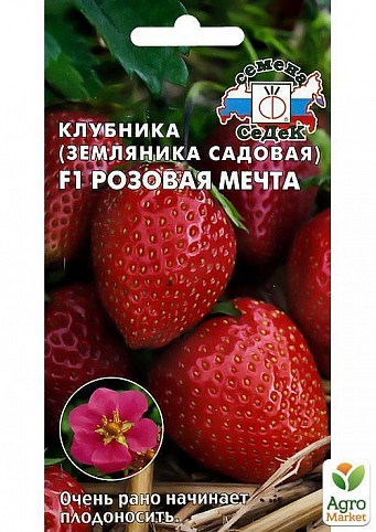 Клубника розовая мечта отзывы