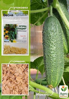 Огірок "Клавдія" (Зипер) ТМ "Весна" 1.5г1