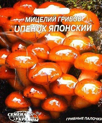 Опеньок "Японський" ТМ "Насіння України" 10шт