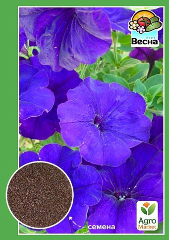 Петуния крупноцветковая синяя ТМ "Весна" 0.3г