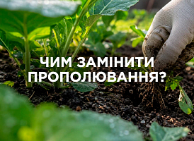 Як зменшити прополювання на ділянці: мульча, агроволокно та сидерати | Agro-market
