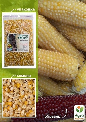Кукуруза "Попкорн" ТМ "Весна" 100г