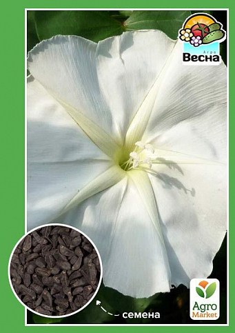 Ипомея белая ТМ "Весна" 0.5г