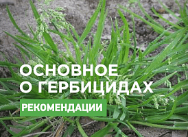 Гербіциди: класи небезпеки - корисні статті про садівництво від Agro-Market