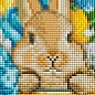 Алмазна мозаїка - Чарівний кролик Ідейка AMO7563 купить