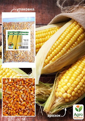 Кукуруза кормовая "Солонянский ФАО 290" ТМ "Весна" ЦЕНА ЗА 1КГ