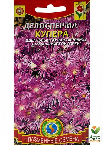 Делосперма "Купера" ТМ "Плазмові насіння" 10шт