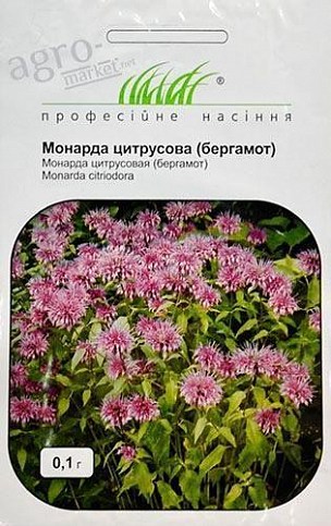 Монарда (Бергамот) ТМ "Hem Zaden" 0.1г