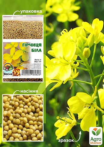 Горчица белая ТМ "Весна" 100гр
