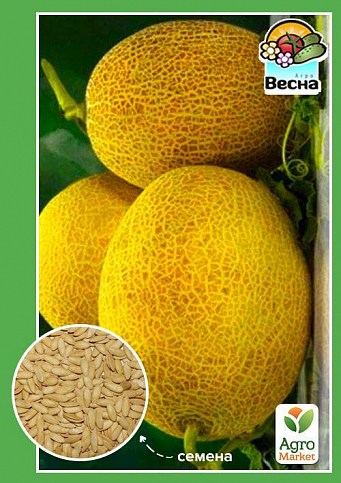 Дыня "Ольвия" ТМ "Весна" 1.5г
