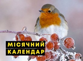 Місячний календар садівника-городника на грудень - корисні статті про садівництво від Agro-Market