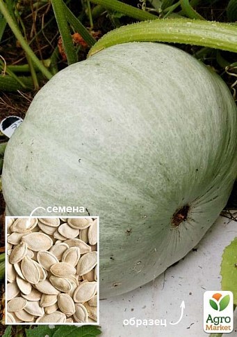 Гарбуз "Лікувальна" ТМ "Весна" 500г